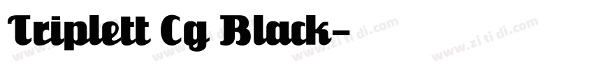 Triplett Cg Black字体转换